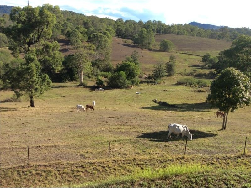 73 Burgess Road, Calico Creek QLD 4570