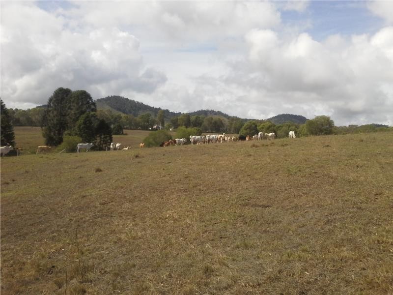 73 Burgess Road, Calico Creek QLD 4570