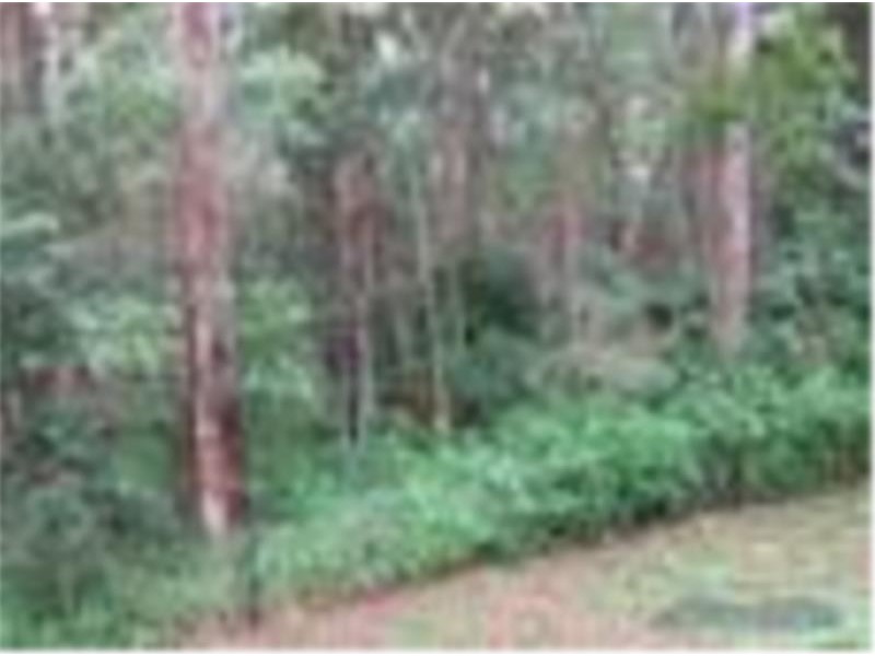 59 Blueberry Drive, Black Mountain QLD 4563