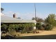 40 Tout Place, Young NSW 2594