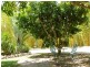 32 Kildeys Road, Cootharaba QLD 4565