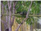 32 Kildeys Road, Cootharaba QLD 4565