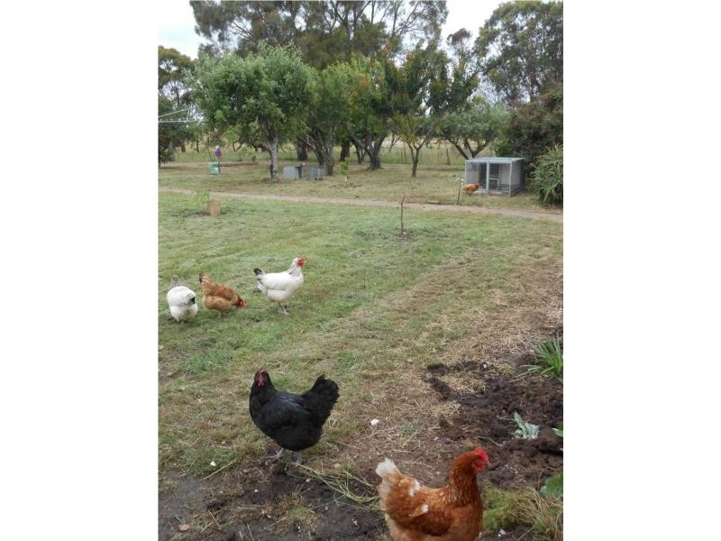 2132 Mount Napier Road, Gazette VIC 3289