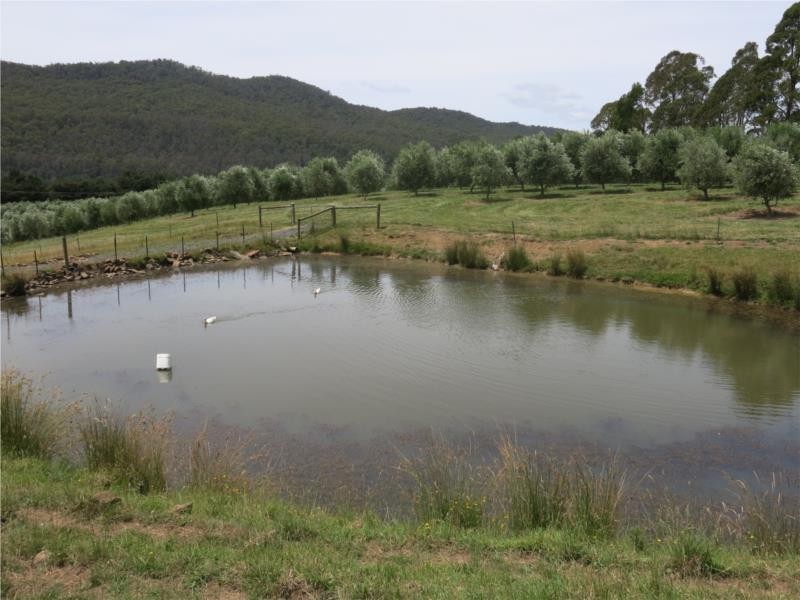 1345 Railton Road, Merseylea TAS 7305