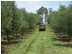 1345 Railton Road, Merseylea TAS 7305