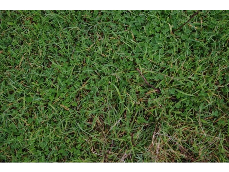 730 Reserve Road, Gidgegannup WA 6083