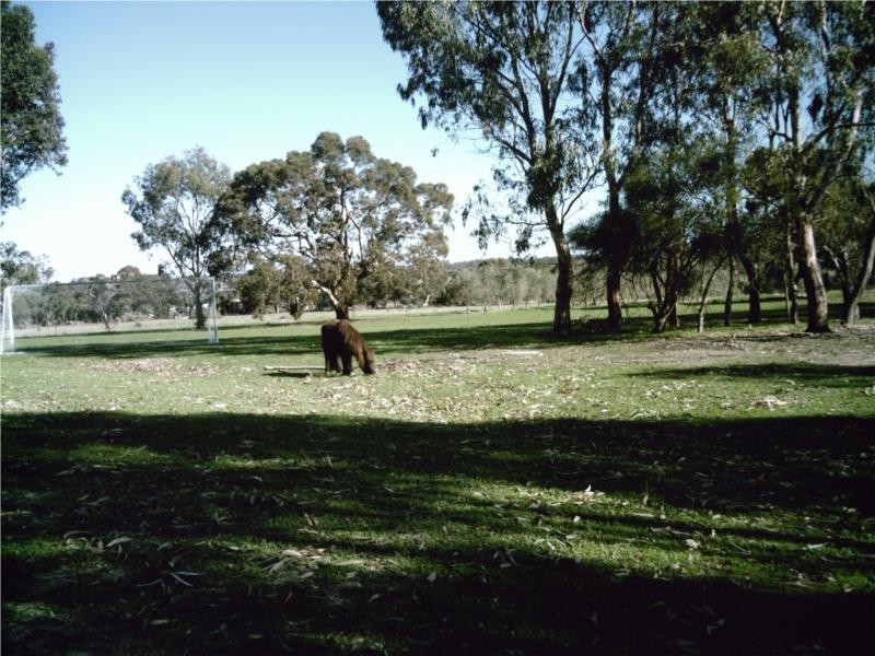 34 Allenby Road, Kendenup WA 6323