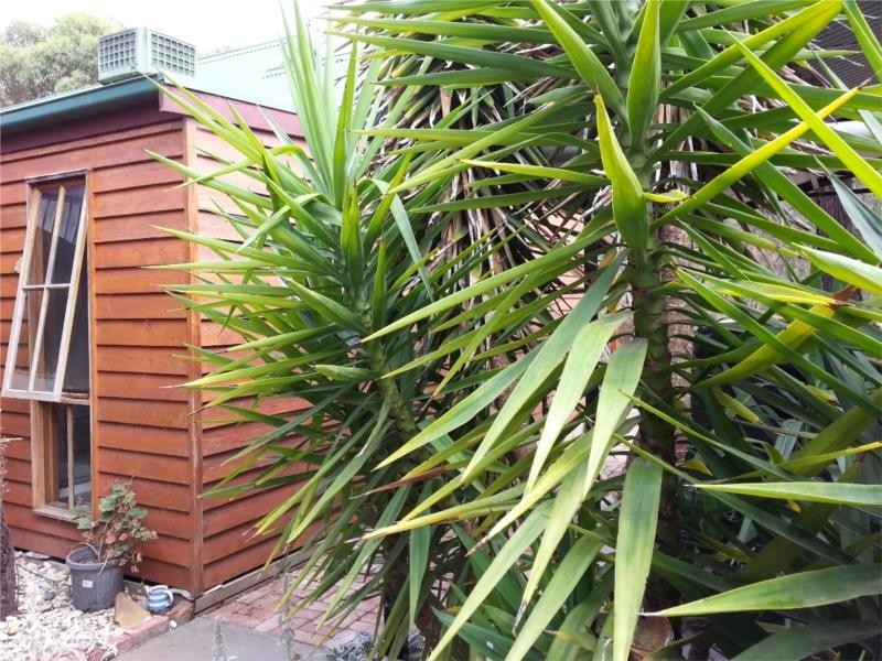 44 Parker Street East, Castlemaine VIC 3450