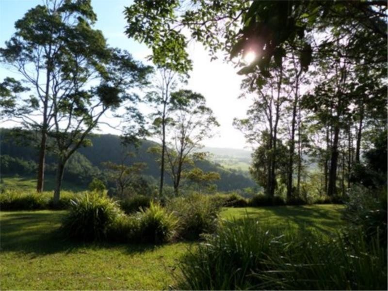 31 Highview Crescent, Modanville NSW 2480