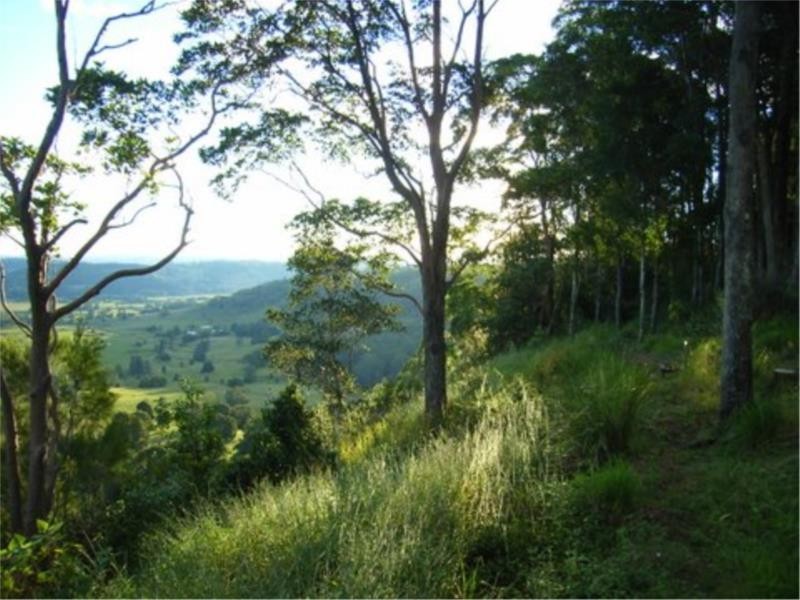 31 Highview Crescent, Modanville NSW 2480