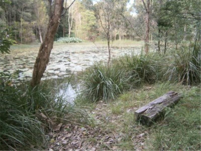 31 Highview Crescent, Modanville NSW 2480