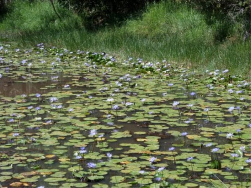 31 Highview Crescent, Modanville NSW 2480