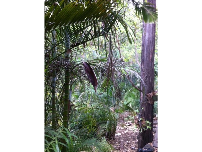 11 Nankin Street, Fig Tree Pocket QLD 4069