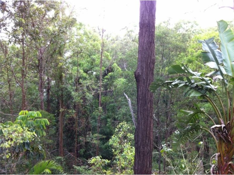 11 Nankin Street, Fig Tree Pocket QLD 4069