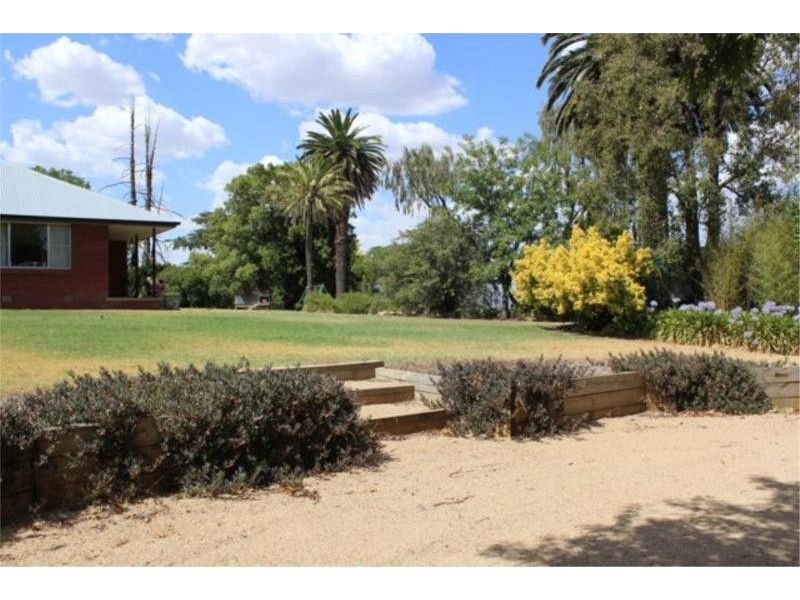 16 Tout Place, Young NSW 2594