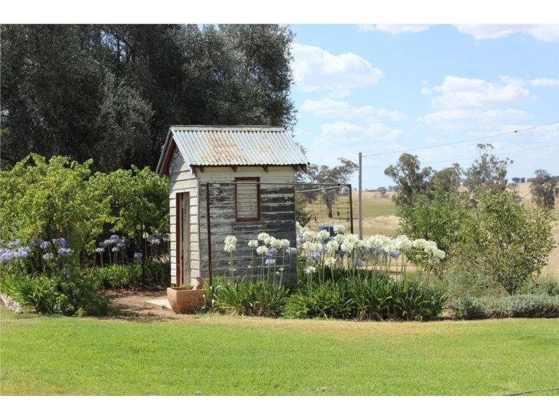 16 Tout Place, Young NSW 2594