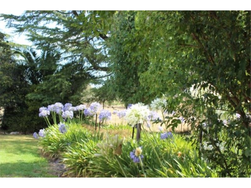 16 Tout Place, Young NSW 2594