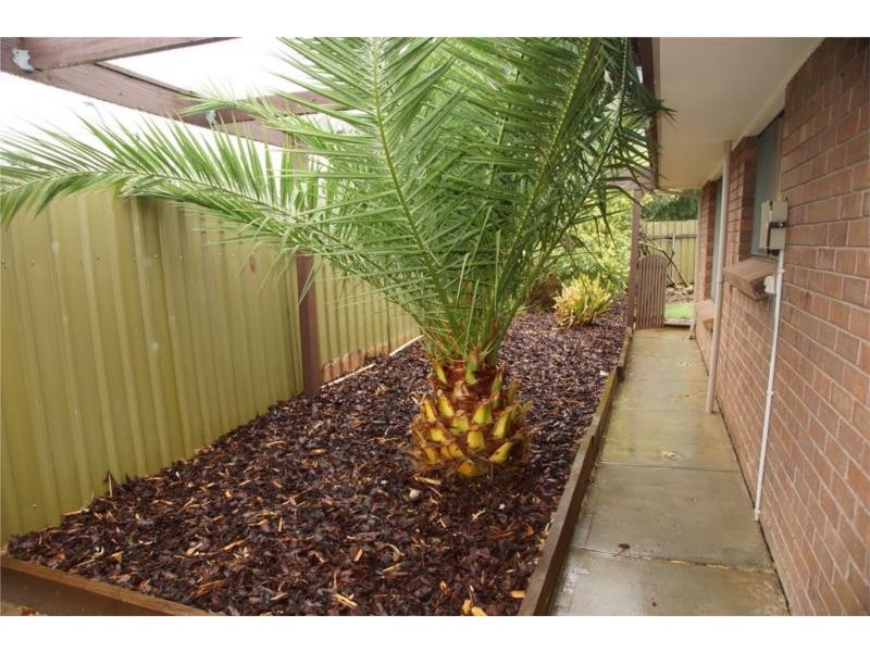 3/25 Hotham Street, Hope Valley SA 5090