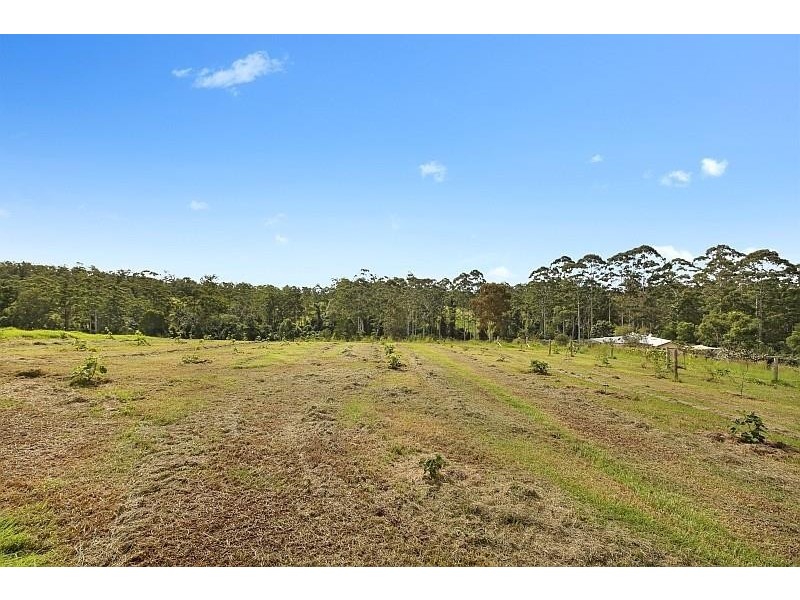 295 Eastern Boundary Road, Bellangry NSW 2446