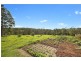 295 Eastern Boundary Road, Bellangry NSW 2446
