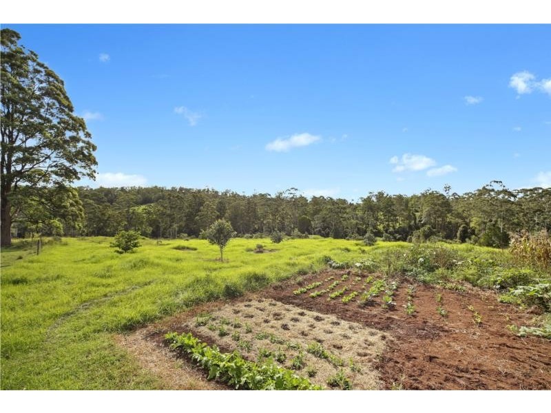295 Eastern Boundary Road, Bellangry NSW 2446