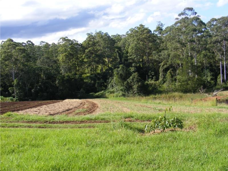 295 Eastern Boundary Road, Bellangry NSW 2446