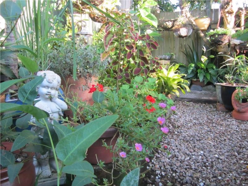 19/15 Townsend Road, Buderim QLD 4556