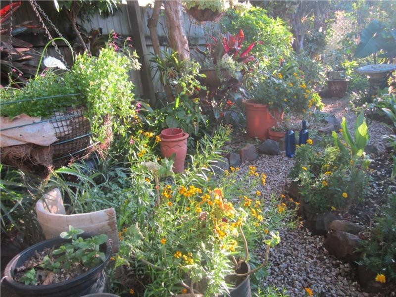 19/15 Townsend Road, Buderim QLD 4556