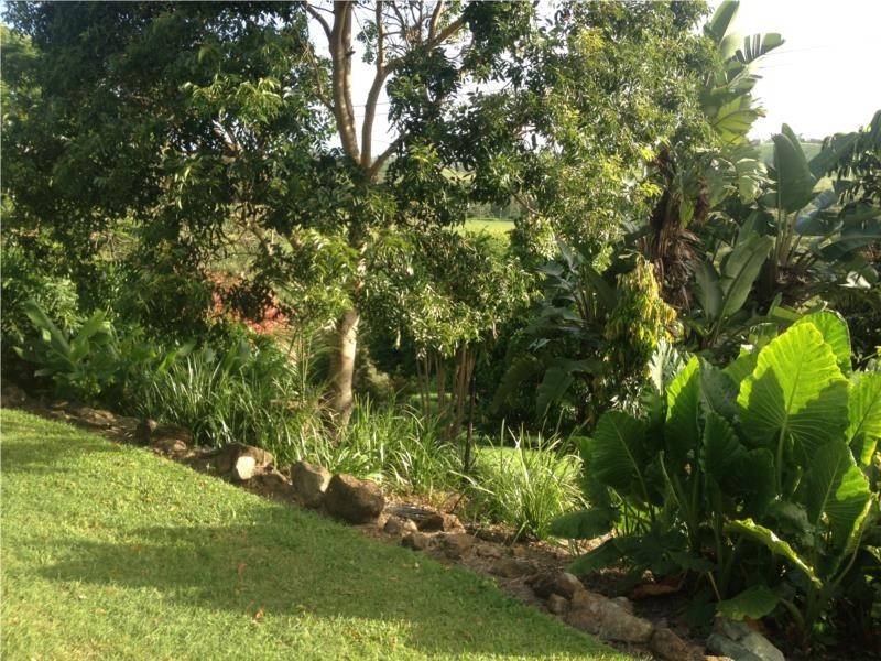 729 Grasstree Road, Grasstree Beach QLD 4740