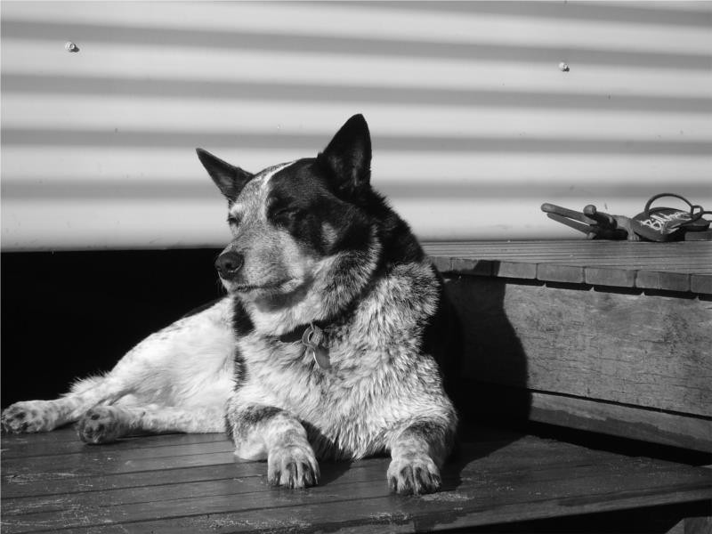 1 Maloney Close, Ocean Beach WA 6333