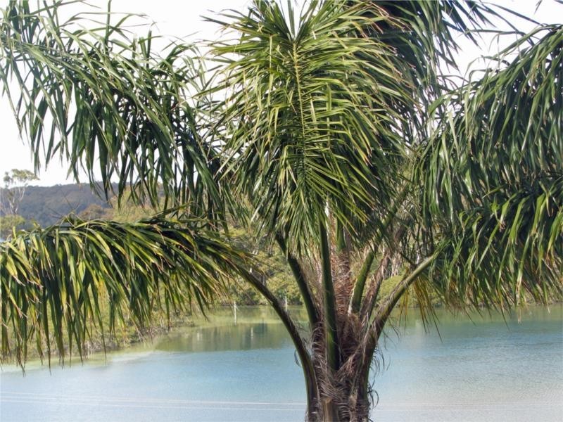 7 Alexander Place, North Narooma NSW 2546