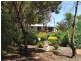 9 Pickering Road, Waikerie SA 5330