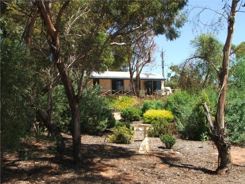 9 Pickering Road, Waikerie SA 5330