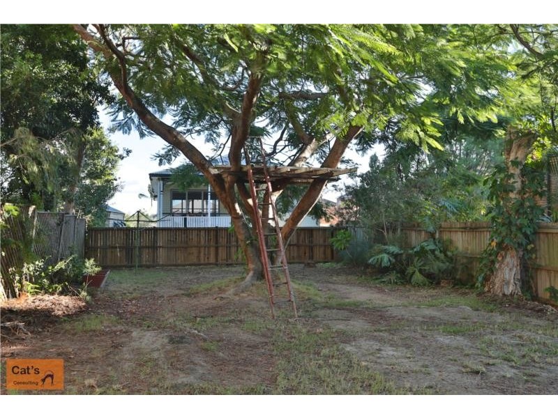 14 Denman Street, Alderley QLD 4051