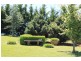 1310 Caoura Road, Tallong NSW 2579