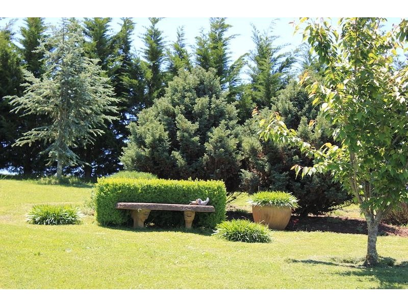 1310 Caoura Road, Tallong NSW 2579