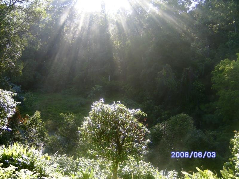 49 Bramley Drive, Tallebudgera Valley QLD 4228