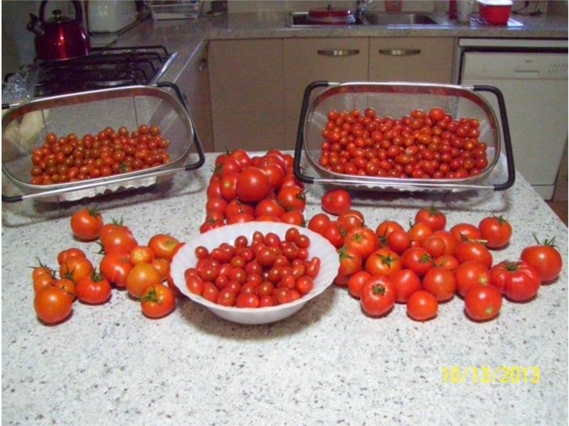 102 Torquay Crescent, Tingalpa QLD 4173