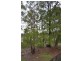 1/12 Burleigh Glen Court, Burleigh Heads QLD 4220
