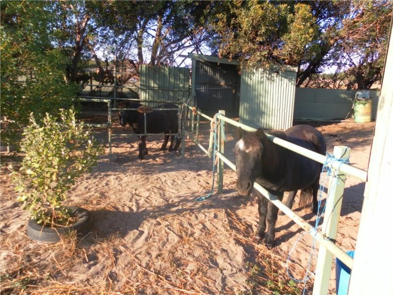 63 Cutler Road, Goolwa North SA 5214