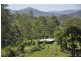 Kindee NSW 2446