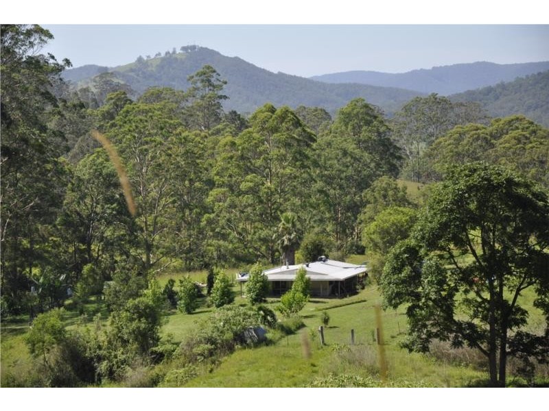 Kindee NSW 2446