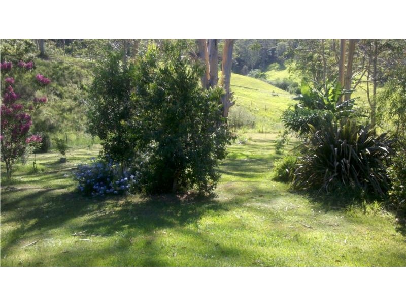 Kindee NSW 2446