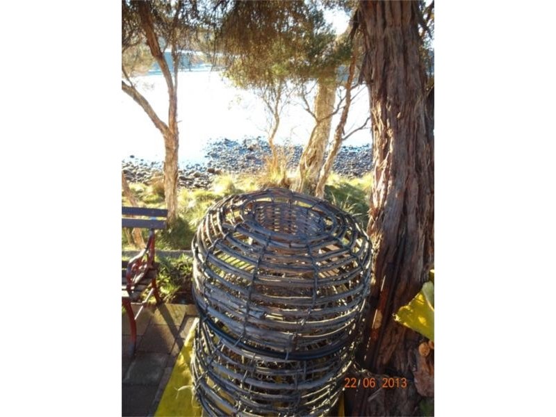 81 Letts Bay Road, Strahan TAS 7468