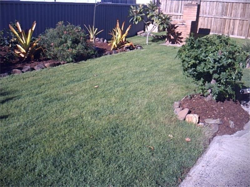 303 Adina Avenue, Bilinga QLD 4225