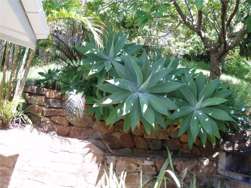 22 West Street, Mount Morgan QLD 4714