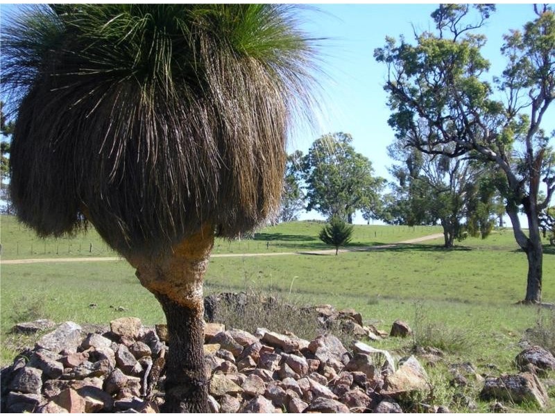 Wellingrove NSW 2370