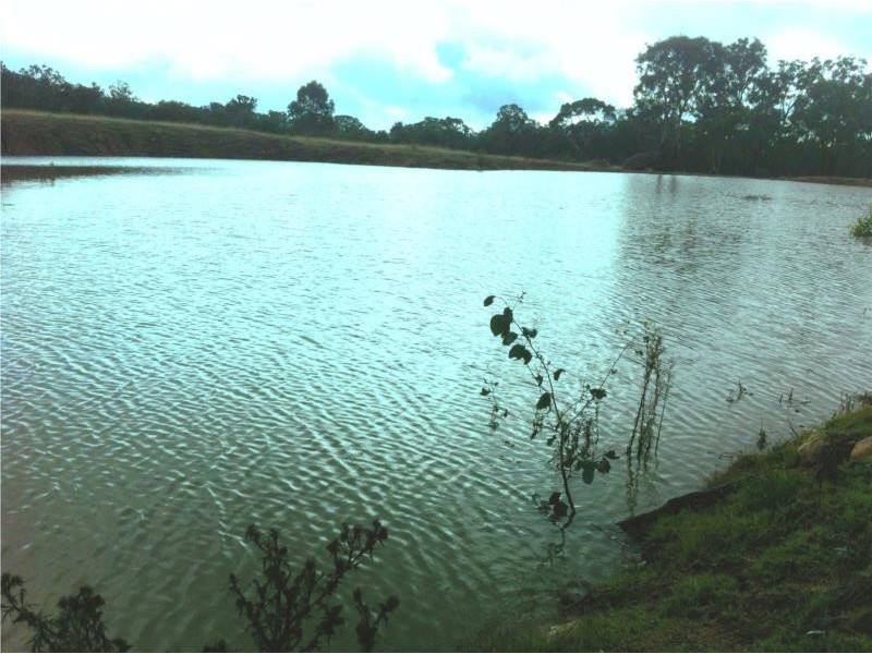 Wellingrove NSW 2370