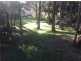 67 Beaconsfield Street, Newport NSW 2106