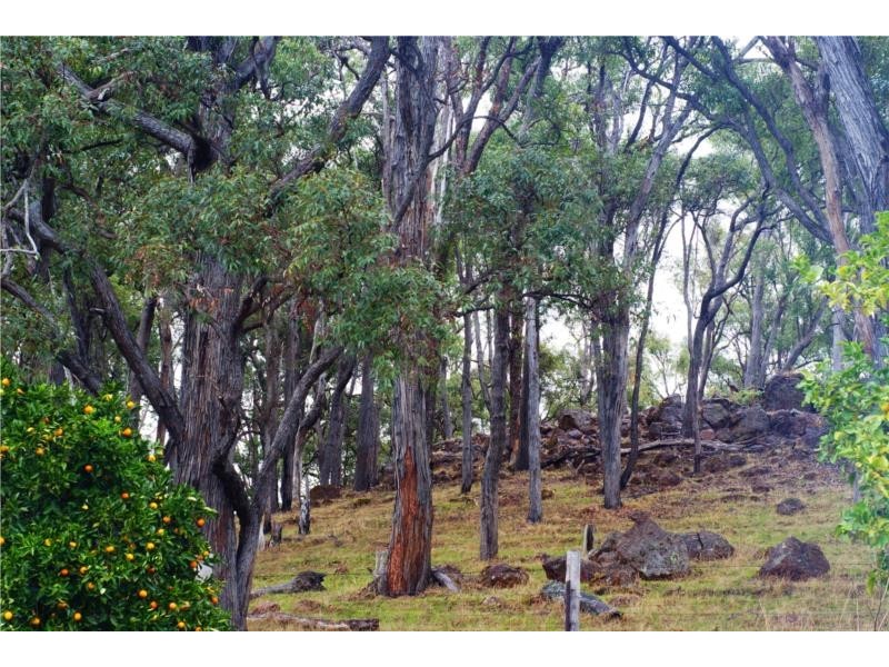 6 Smith Street, Bridgetown WA 6255